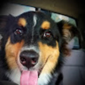 Meet your Posher, Marie